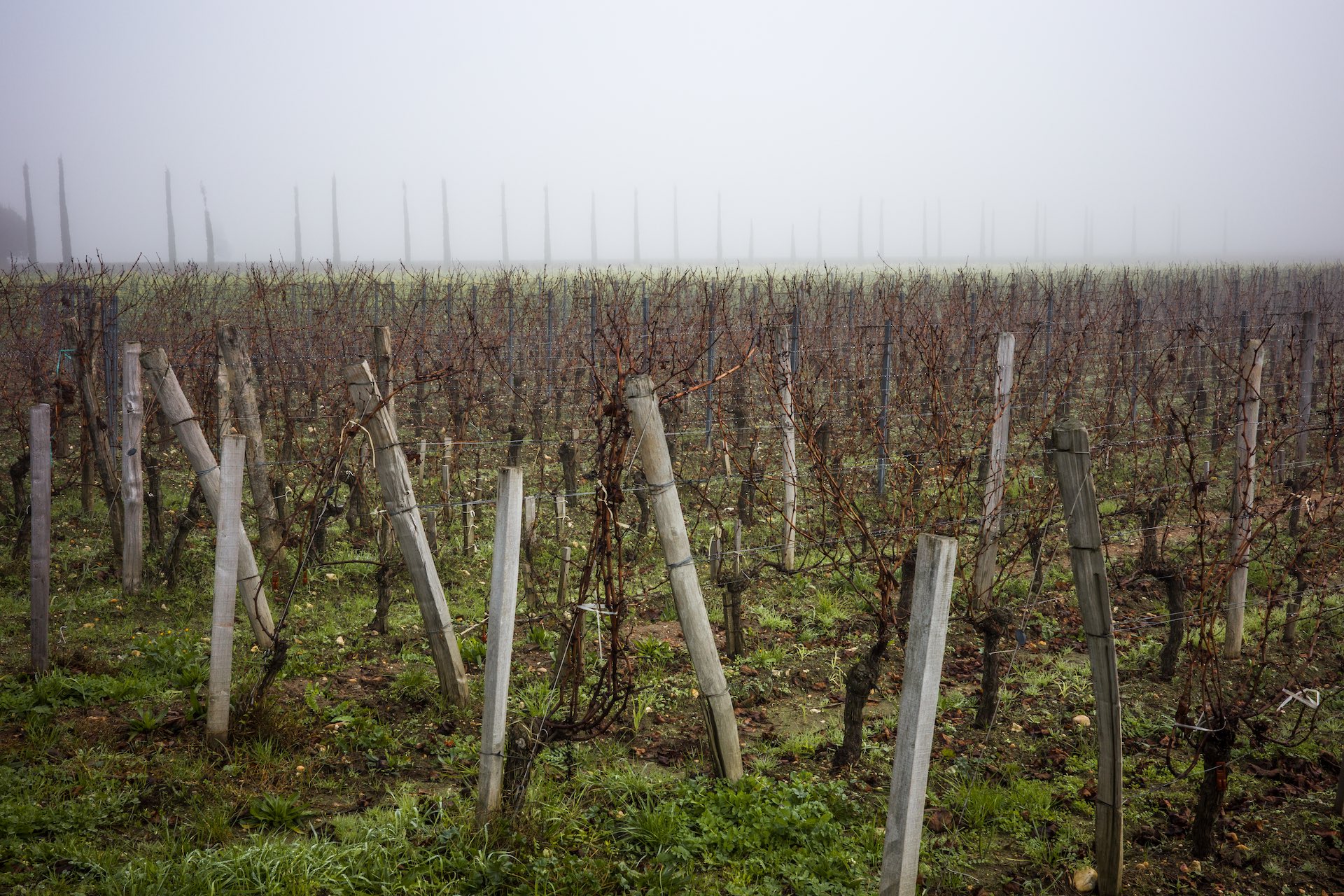 Pomerol